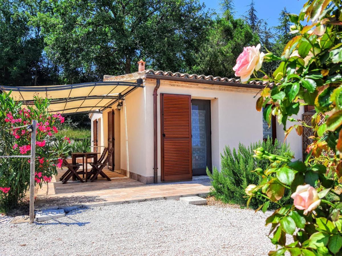 Agriturismo Rosa Antica Monte San Vito Extérieur photo
