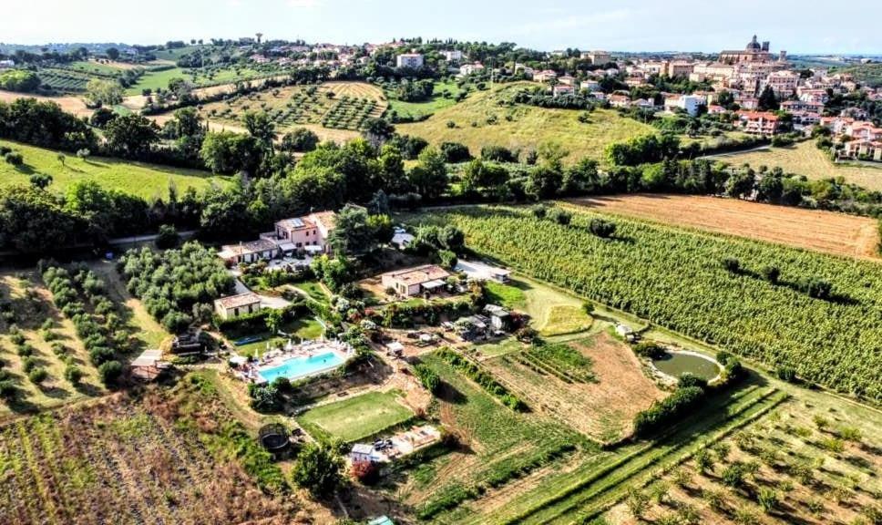 Agriturismo Rosa Antica Monte San Vito Extérieur photo