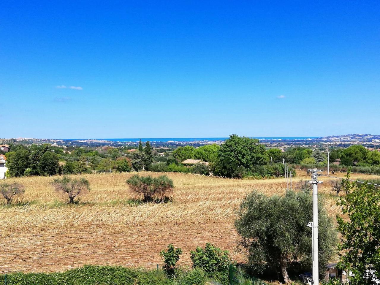 Agriturismo Rosa Antica Monte San Vito Extérieur photo