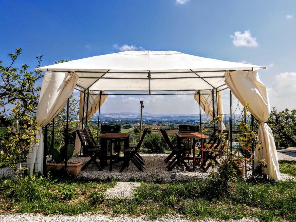 Agriturismo Rosa Antica Monte San Vito Extérieur photo