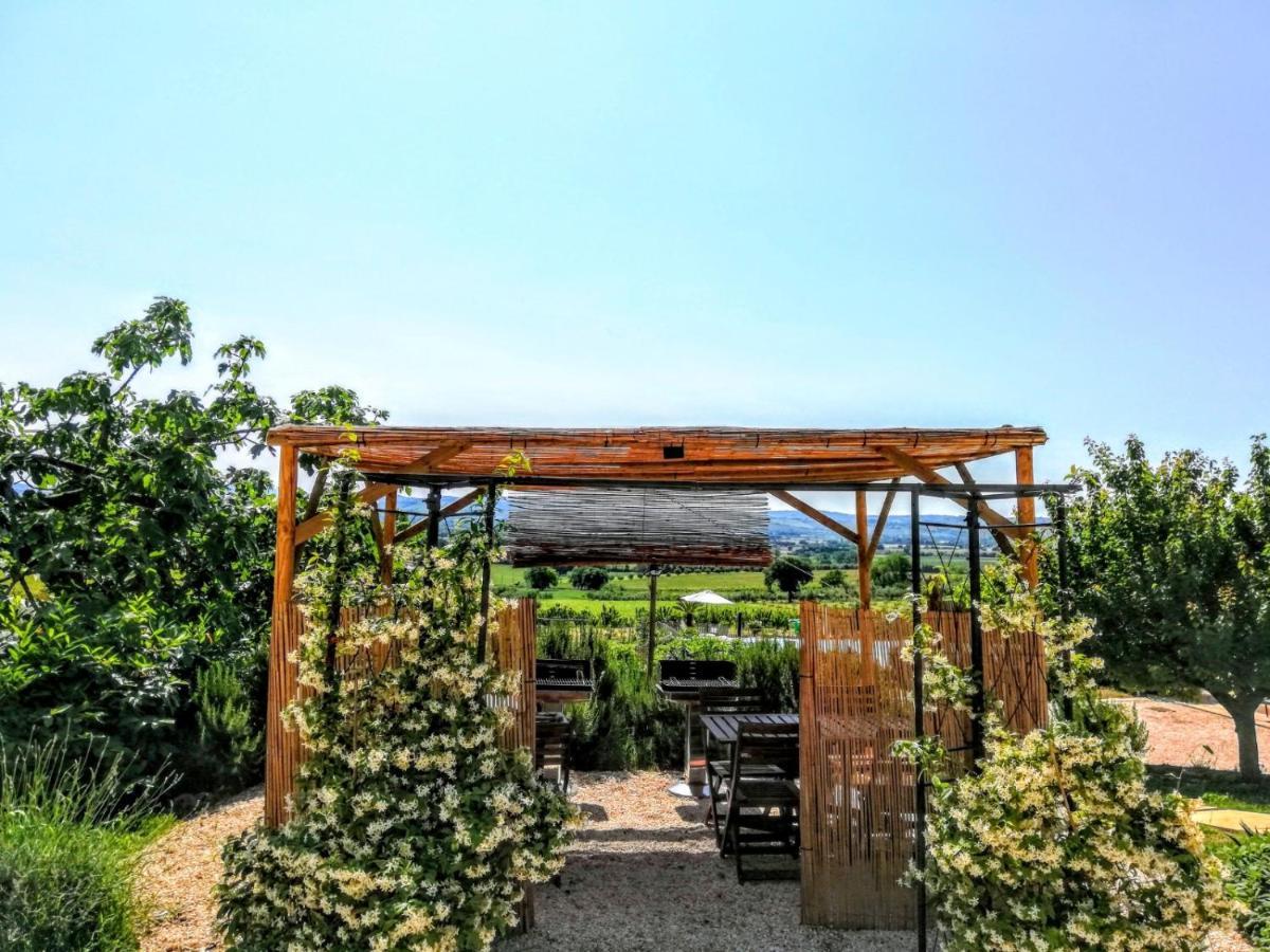 Agriturismo Rosa Antica Monte San Vito Extérieur photo