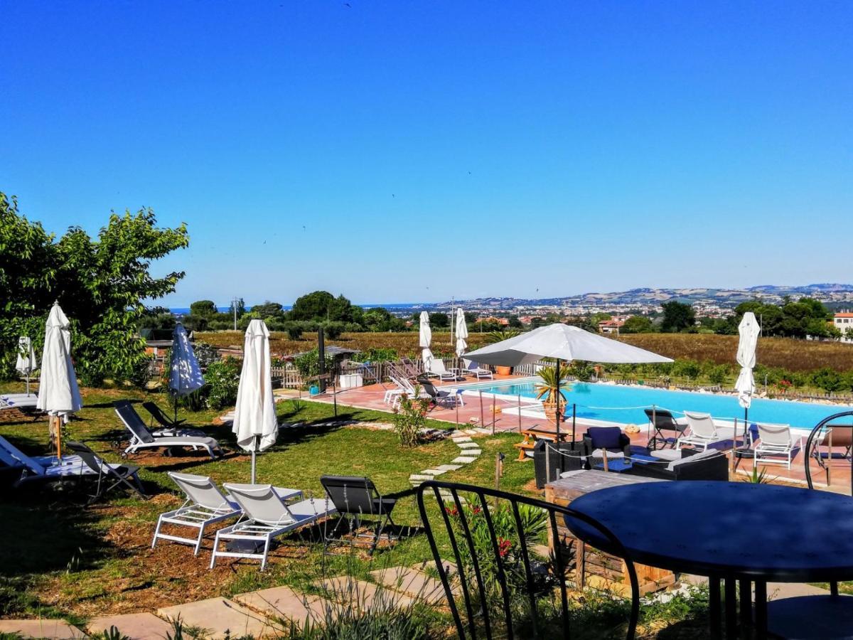 Agriturismo Rosa Antica Monte San Vito Extérieur photo